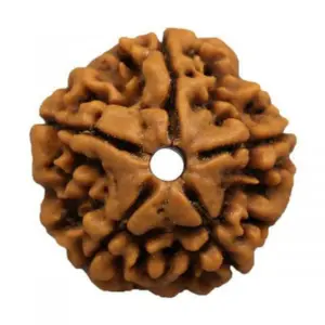 9 mukhi